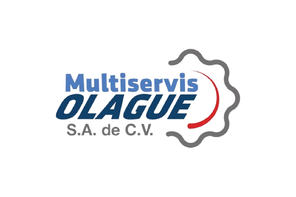Multiservis Olague S.A. de C.V. Logo